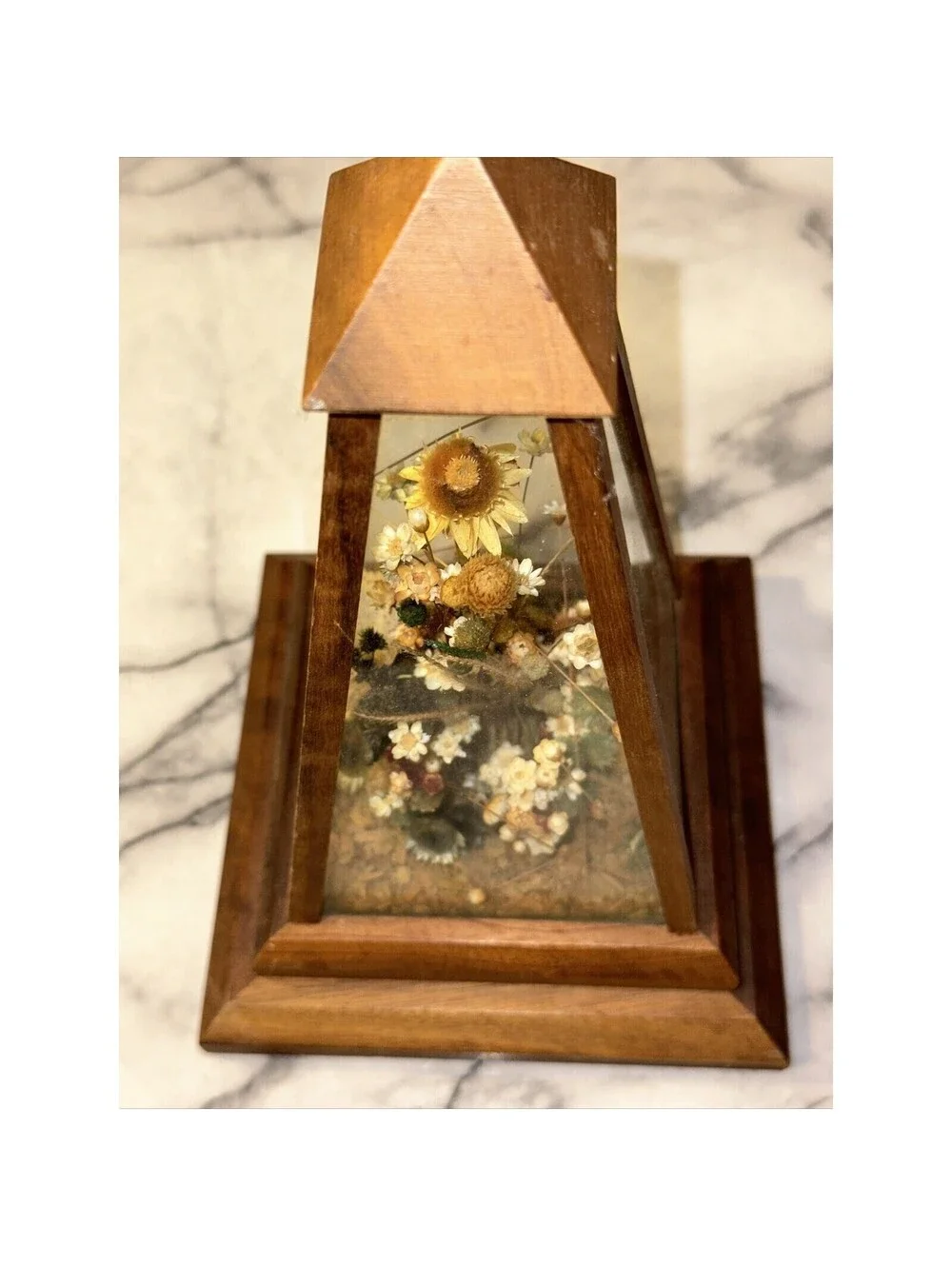Vintage Dunston Glass Enclosed Dried Butterfly Flower Arrangement Brazil 9x 5